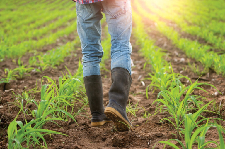 Top 10 Menial Jobs Like Fruit Picking Available in the UK for Immigrants in 2025